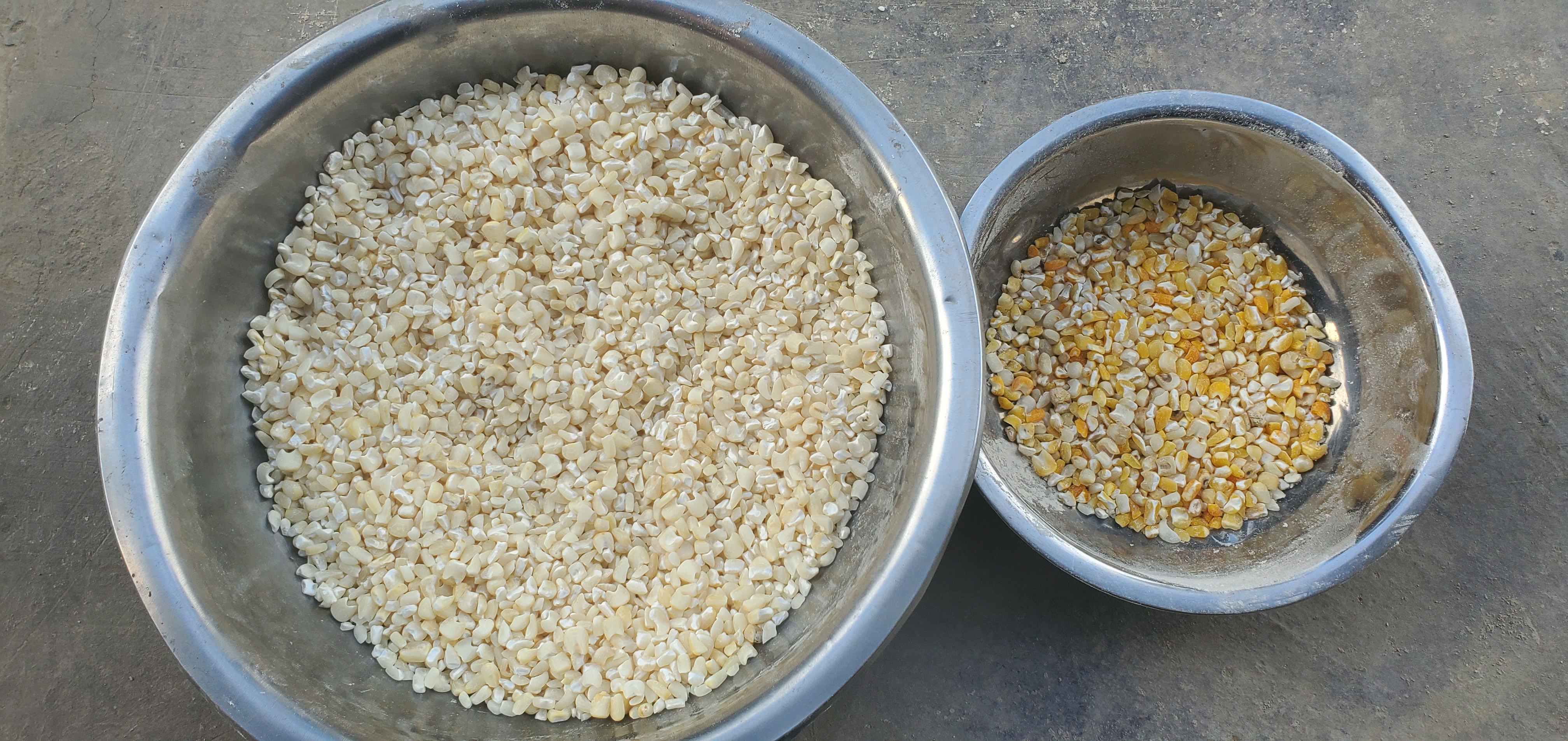 Clasificadora de maíz de color CCD de alta calidad, maíz, trigo, sésamo y pasas, máquina clasificadora de semillas agrícolas